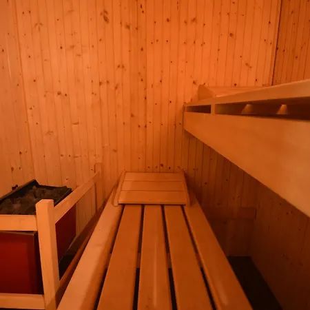 Grand Vercorin Pour 10 Personnes Avec Jardin Bbq Parking Prive Et Sauna Alpesi faház